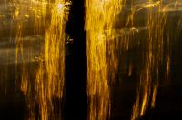 Ocean Gold
